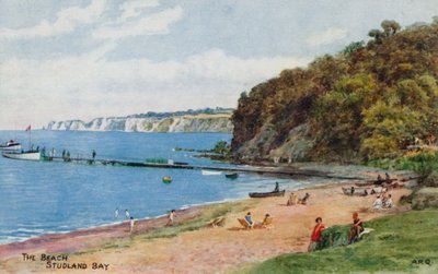 La spiaggia, Studland Bay da Alfred Robert Quinton